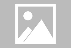 开云平台 -轮回乐园苏晓的伙伴